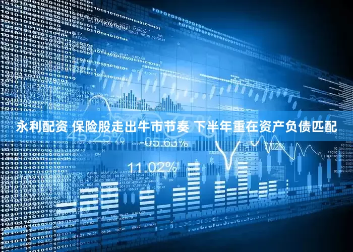 永利配资 保险股走出牛市节奏 下半年重在资产负债匹配