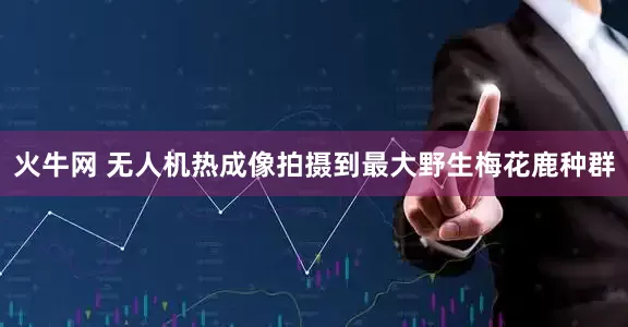 火牛网 无人机热成像拍摄到最大野生梅花鹿种群