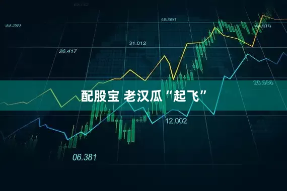 配股宝 老汉瓜“起飞”