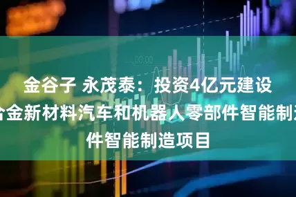 金谷子 永茂泰：投资4亿元建设镁铝合金新材料汽车和机器人零部件智能制造项目
