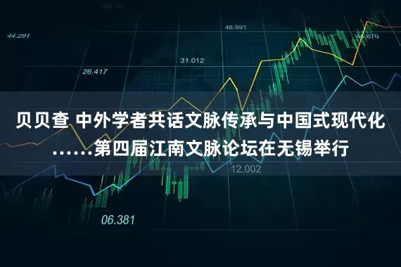 贝贝查 中外学者共话文脉传承与中国式现代化……第四届江南文脉论坛在无锡举行